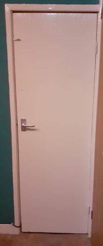 Trish. old kitchen door for renovation.